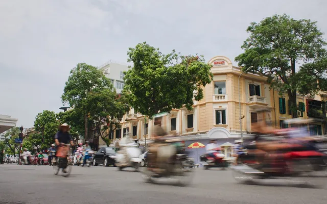 cars near road and houses
