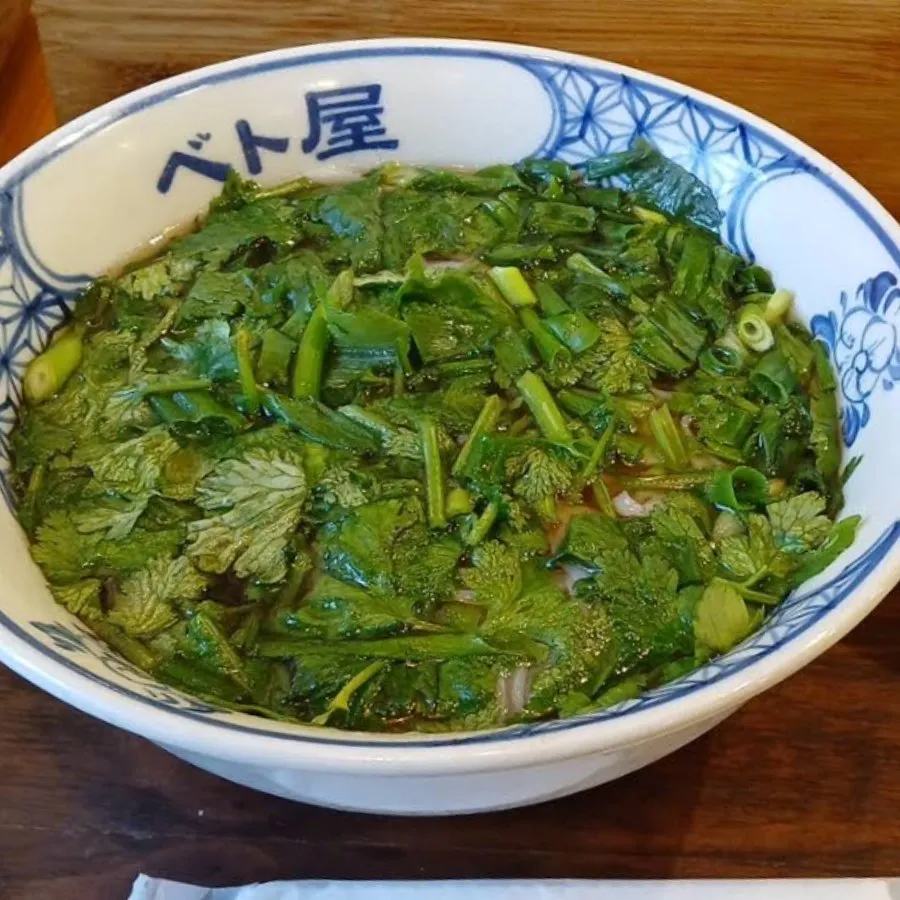 パクチーがたっぷり乗った一杯